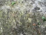image of grave number 144792